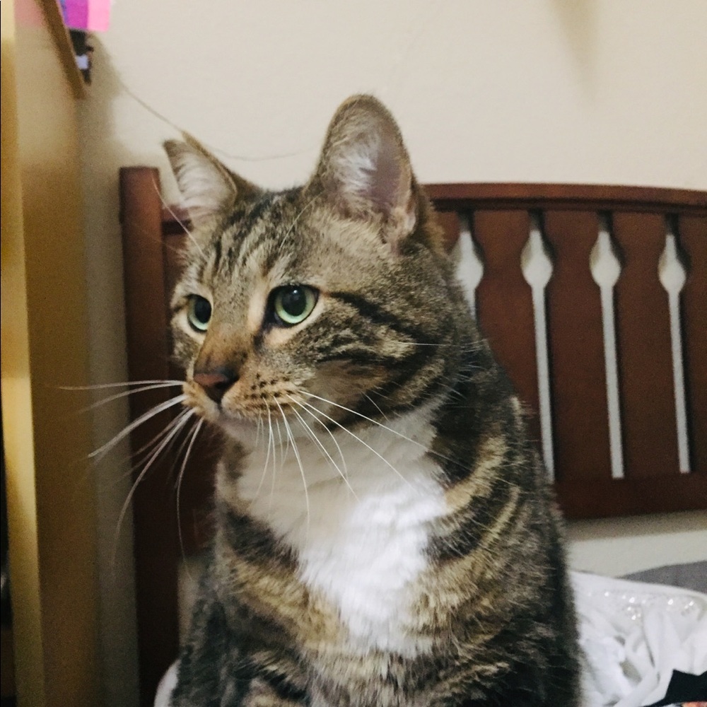 Meet your Posher, Kikyah